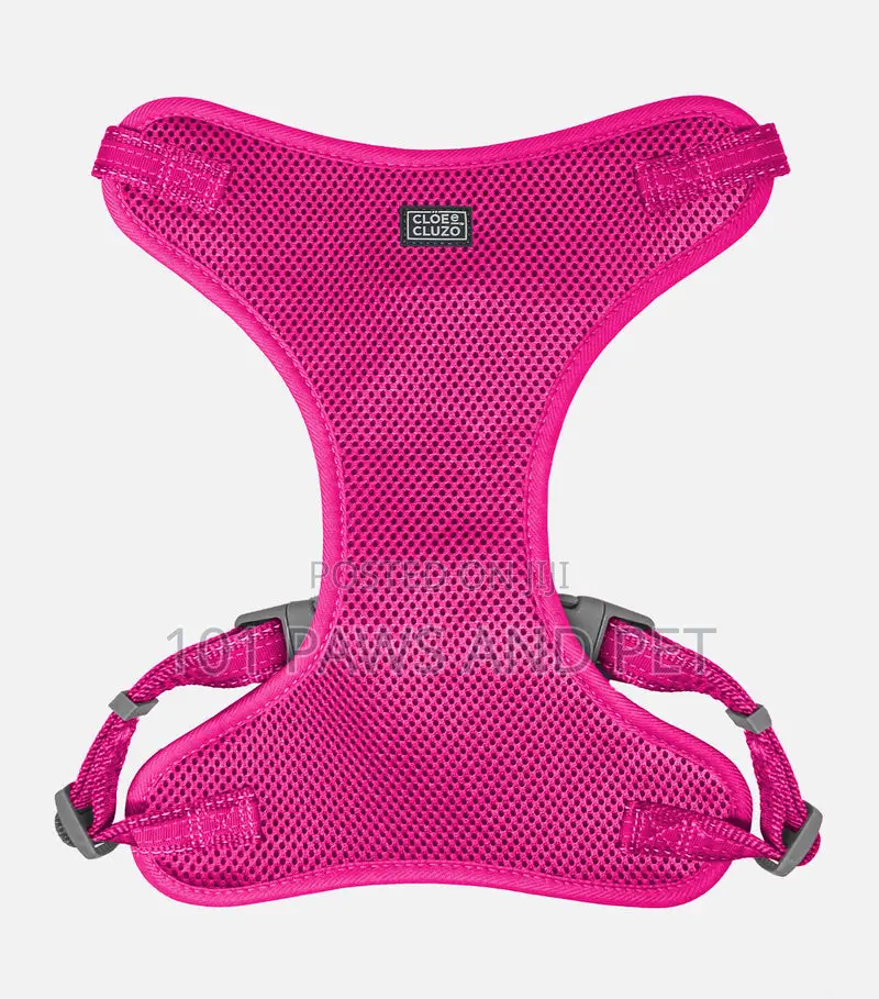 Adjustable Mesh Harness for Dogs