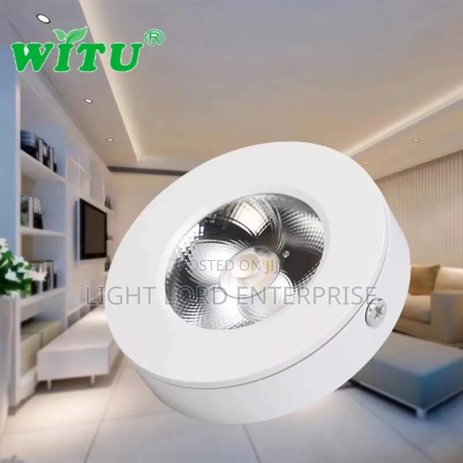 Surface Ceiling Light