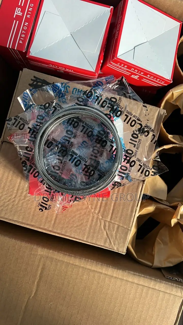 H100 Hyundai Grace Piston Rings Quality