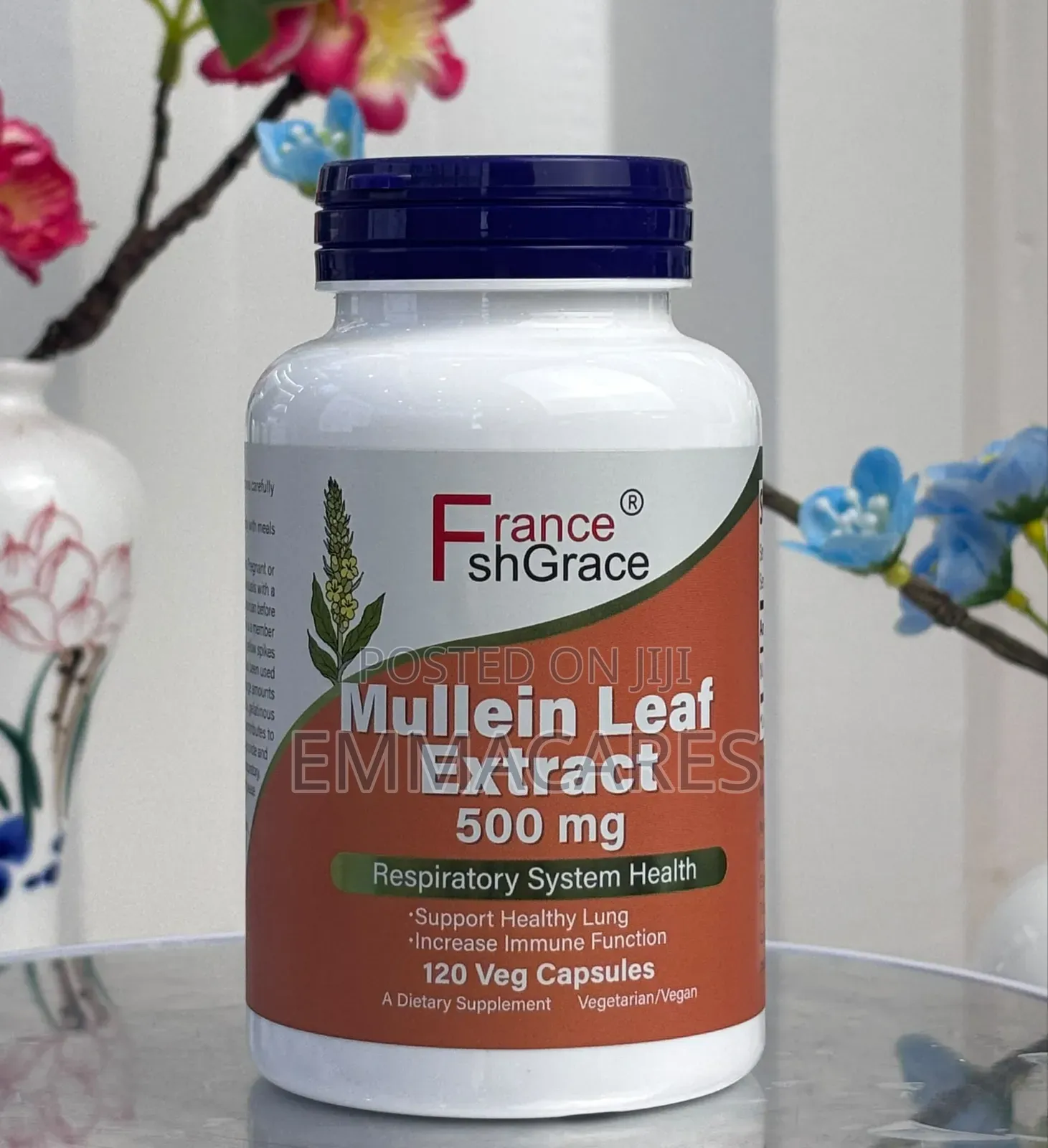 Mullien Leaf Extract for Respiratory Health