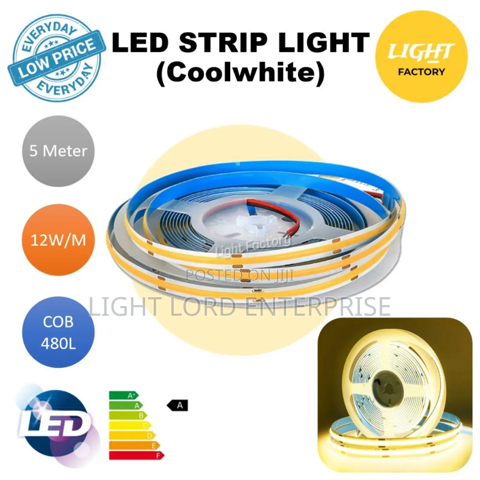 Cool White /and Warm Color 24v Cob