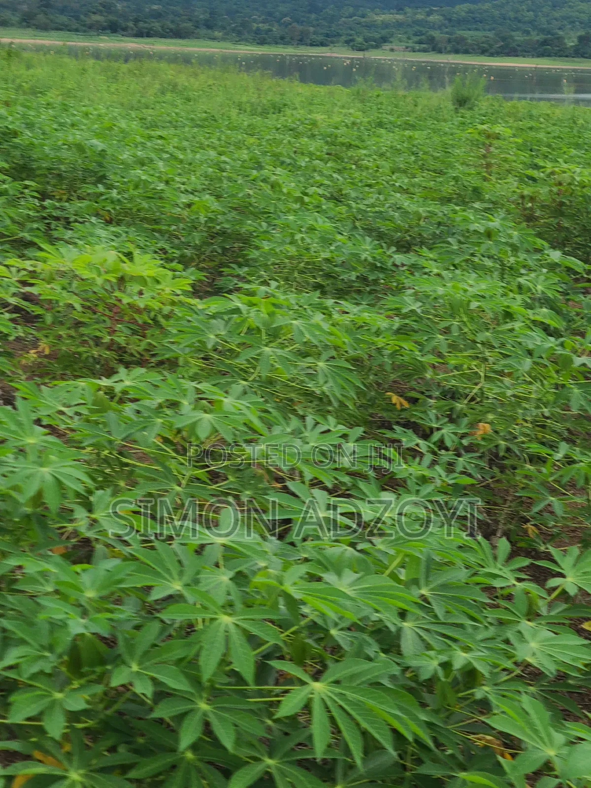 Volta River Front Land for Sale