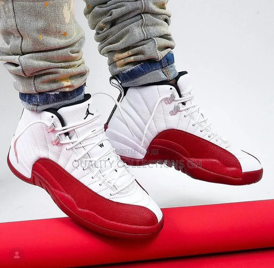 Jordan 12 Retro Sneakers in Colours