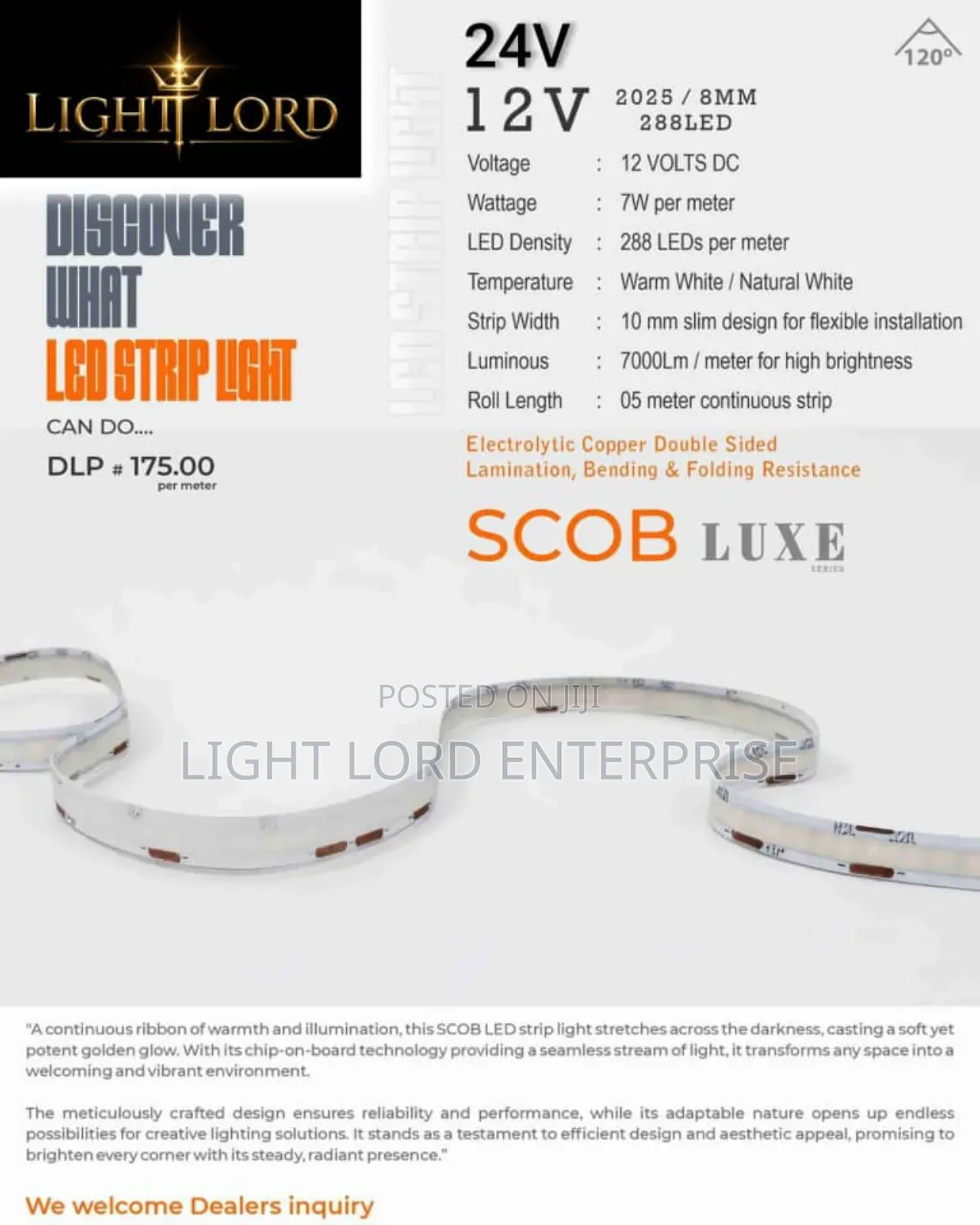 Transform Any Space With Cob Direct or 24v