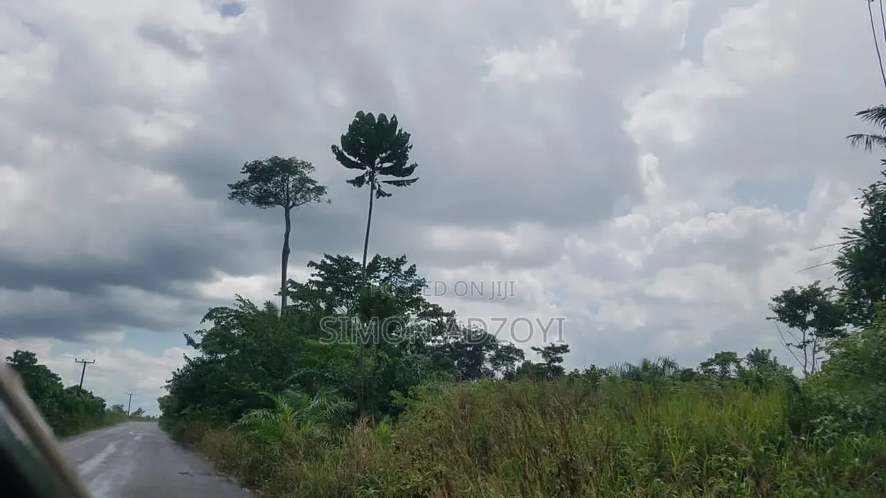 50,000 Acres for Rubber and Palm Trees Farming