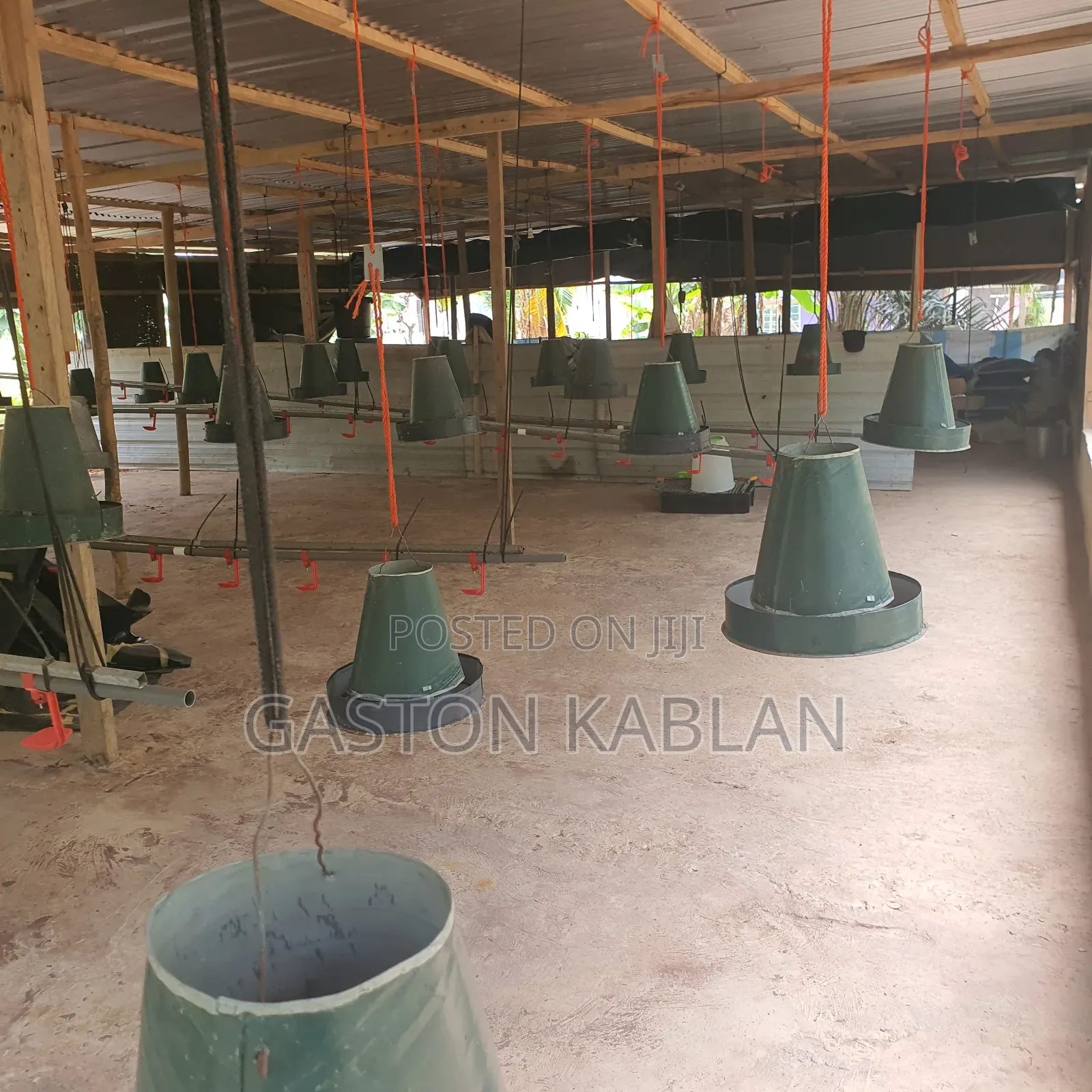 Poultry Farm for Sale – Teiman, Accra