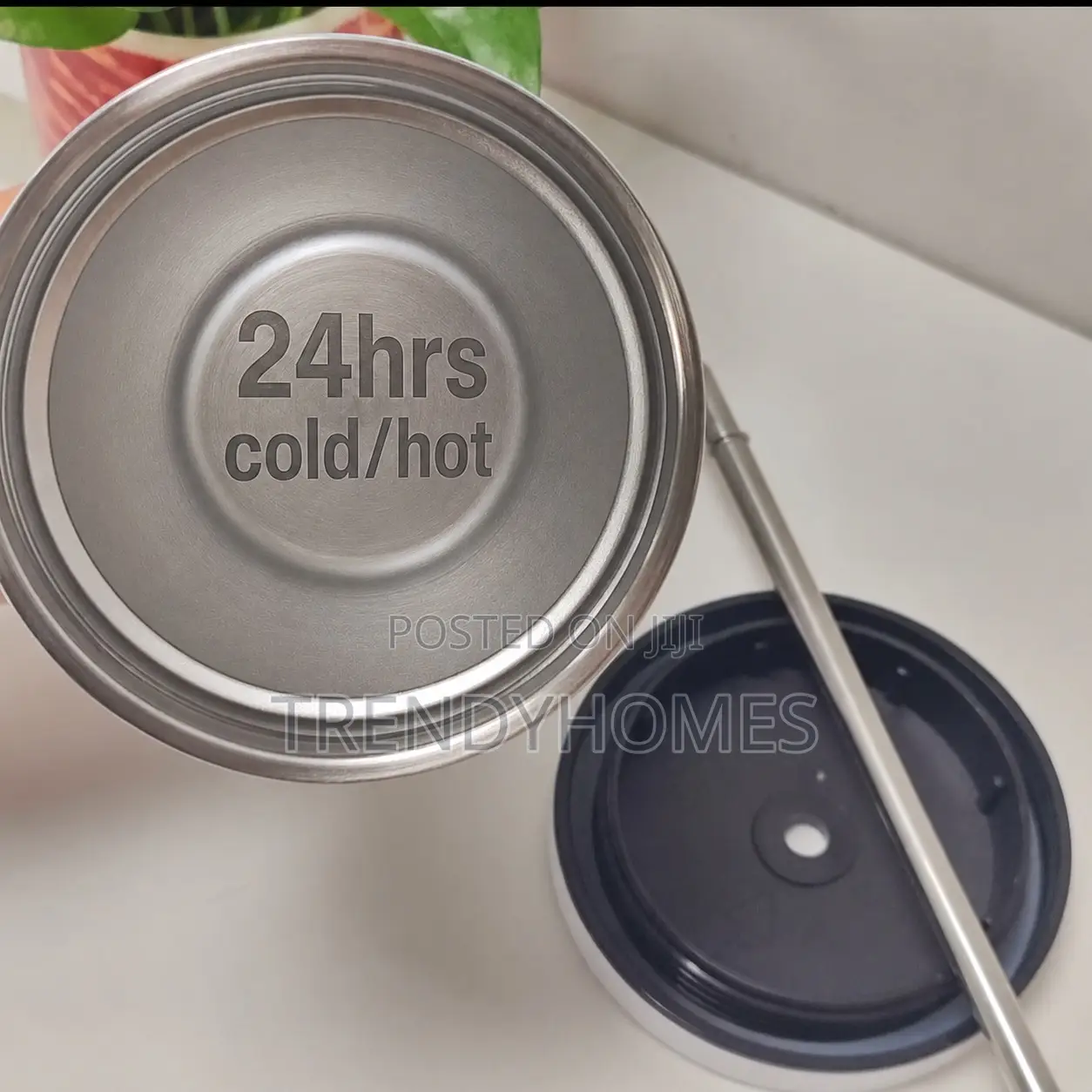 Insulated Cup