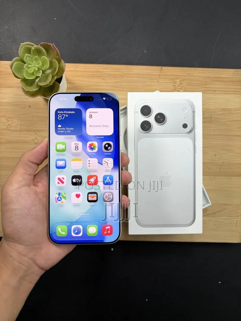 Apple iPhone 17 Pro Max 256 GB Silver