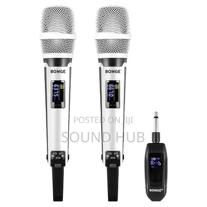Professional Dual Handheld Wireless Microphones