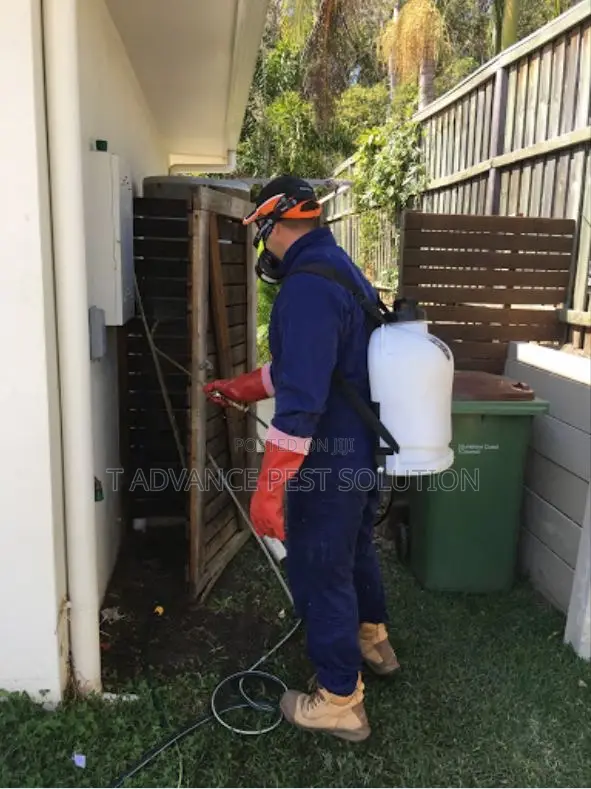 Fumigation Service