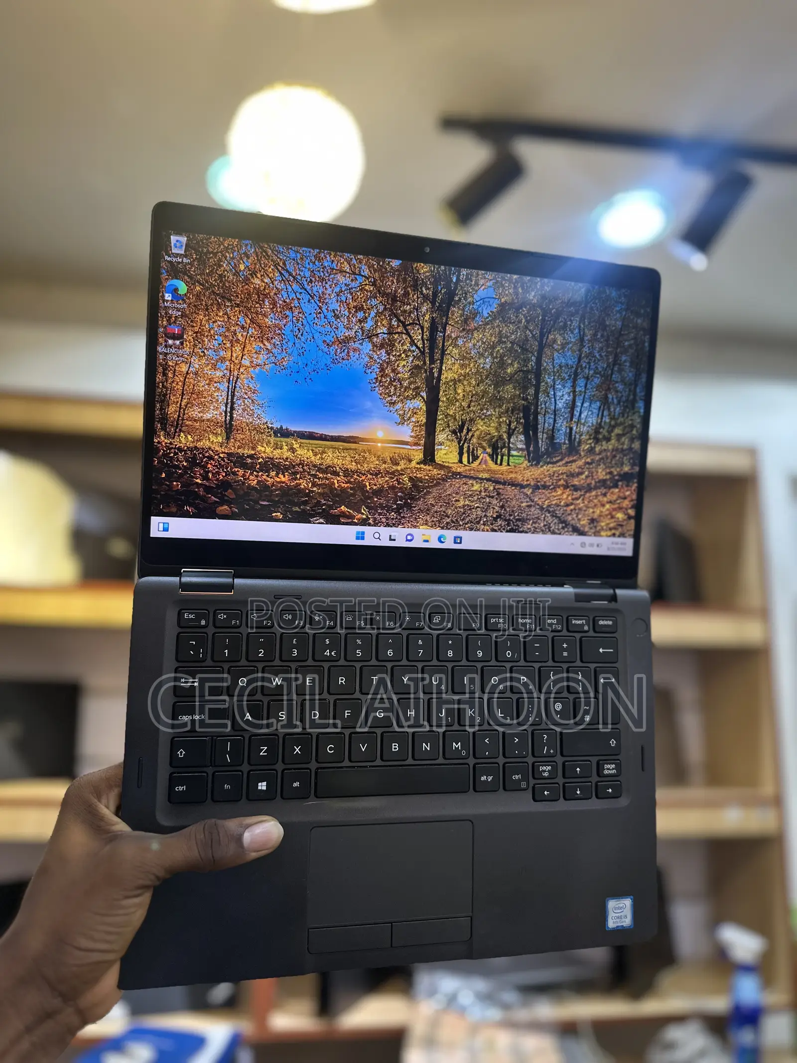 Laptop Dell Latitude 5300 8GB Intel Core i5 SSD 256GB