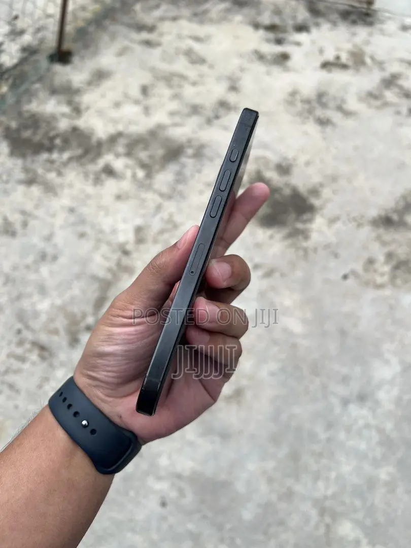 Apple iPhone 16 Pro Max 256 GB Black