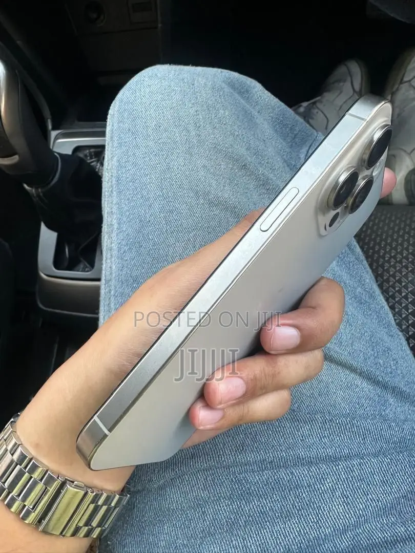 Apple iPhone 15 Pro Max 256 GB Silver