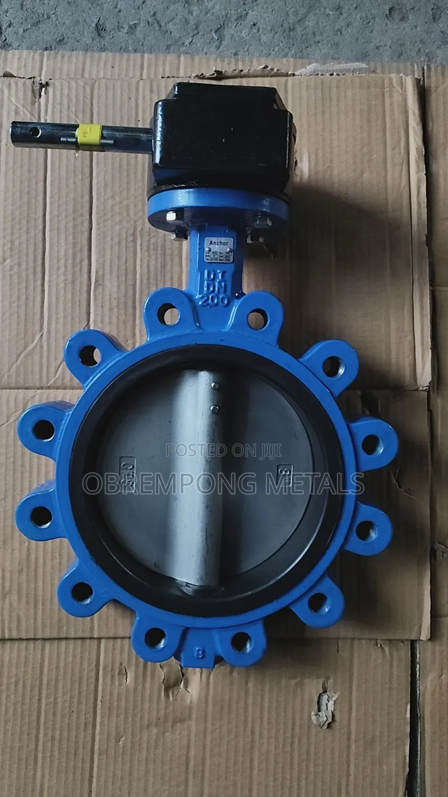 8" Lug Butterfly Valve Stainless Tong Pn16 Gear Type