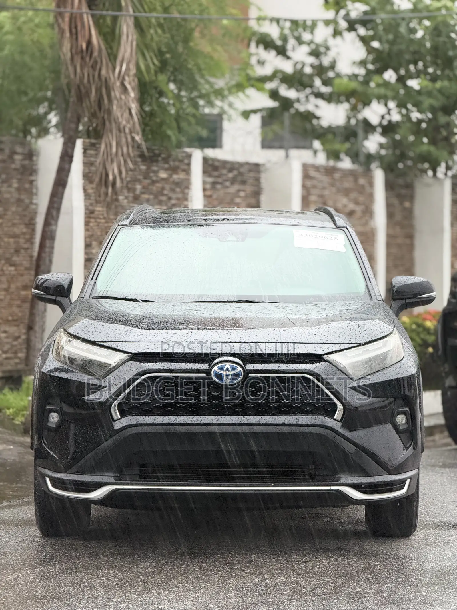 Toyota RAV4 XLE 2021 Black