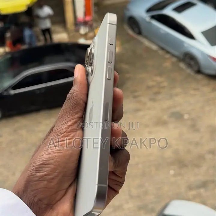 Apple iPhone 15 Pro Max 256 GB Silver