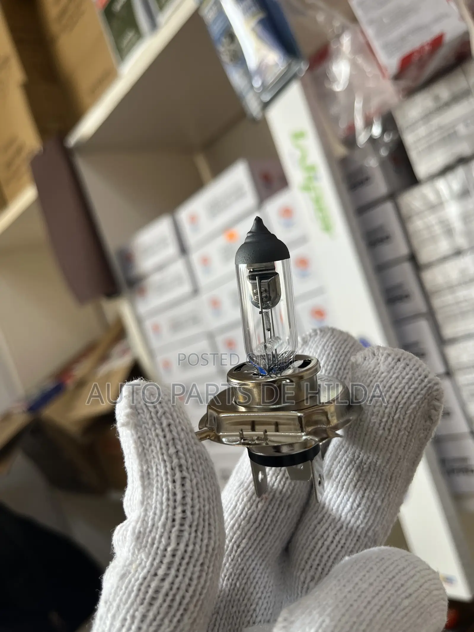 Original H4, H11, 9005 12v 60/55w Halogen Bulbs