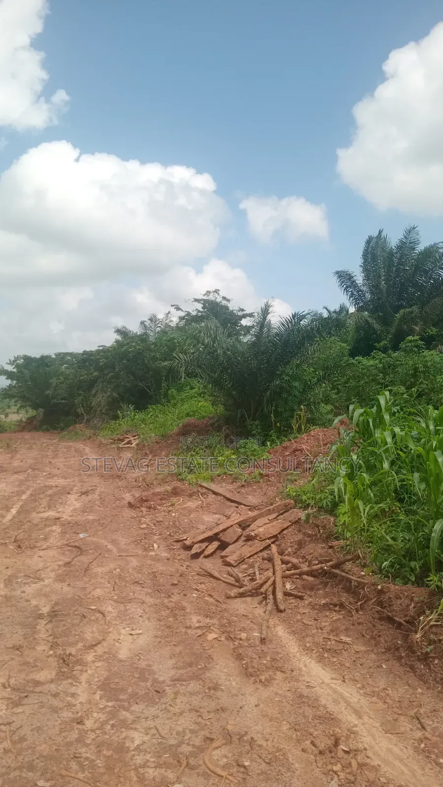 Alpha Investment Land for Sale at Kasoa Buduatta