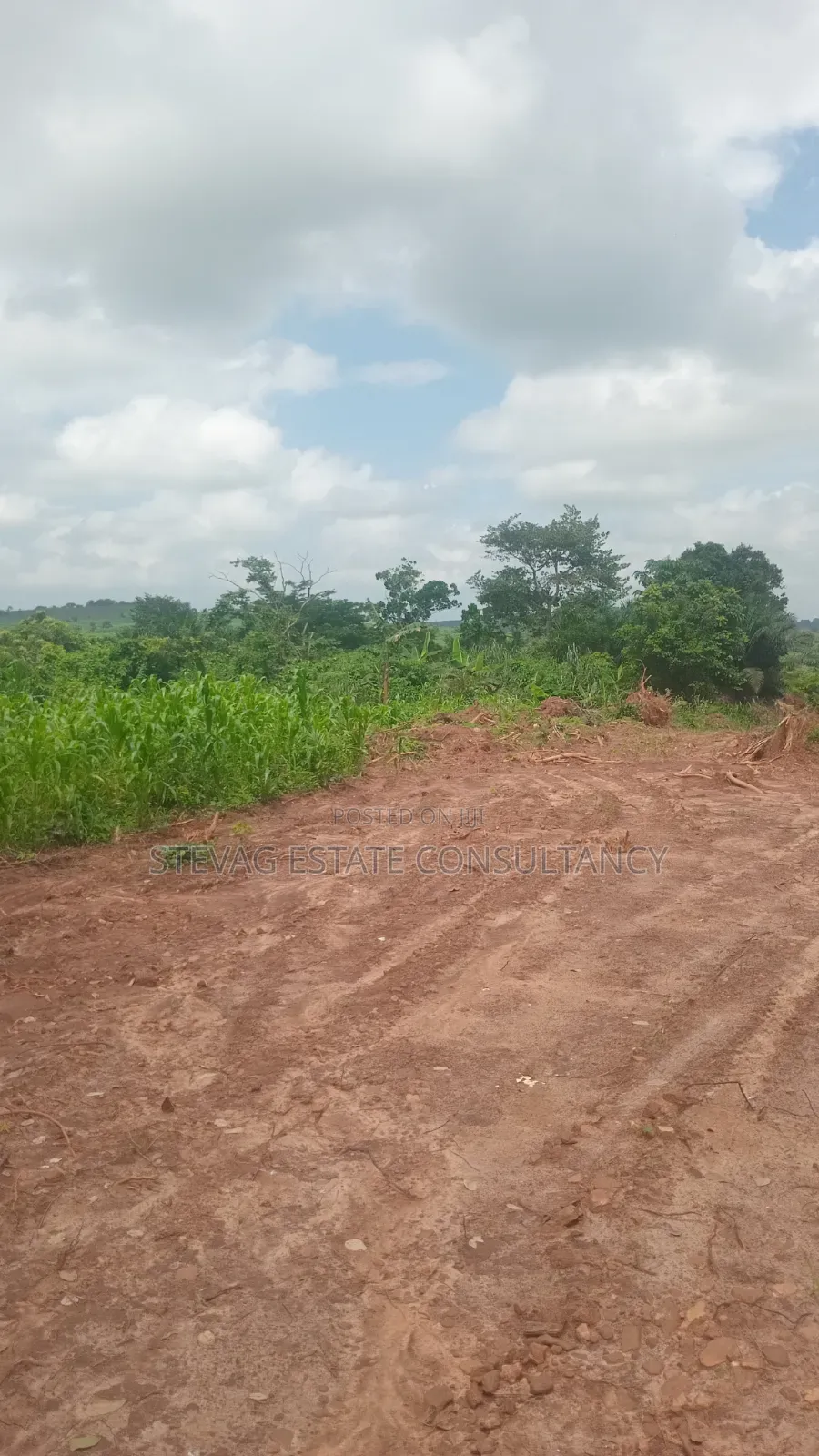 Alpha Investment Land for Sale at Kasoa Buduatta