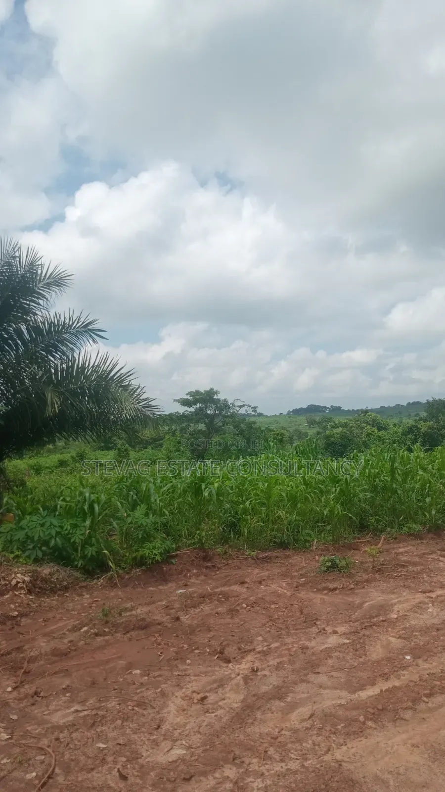 Alpha Investment Land for Sale at Kasoa Buduatta