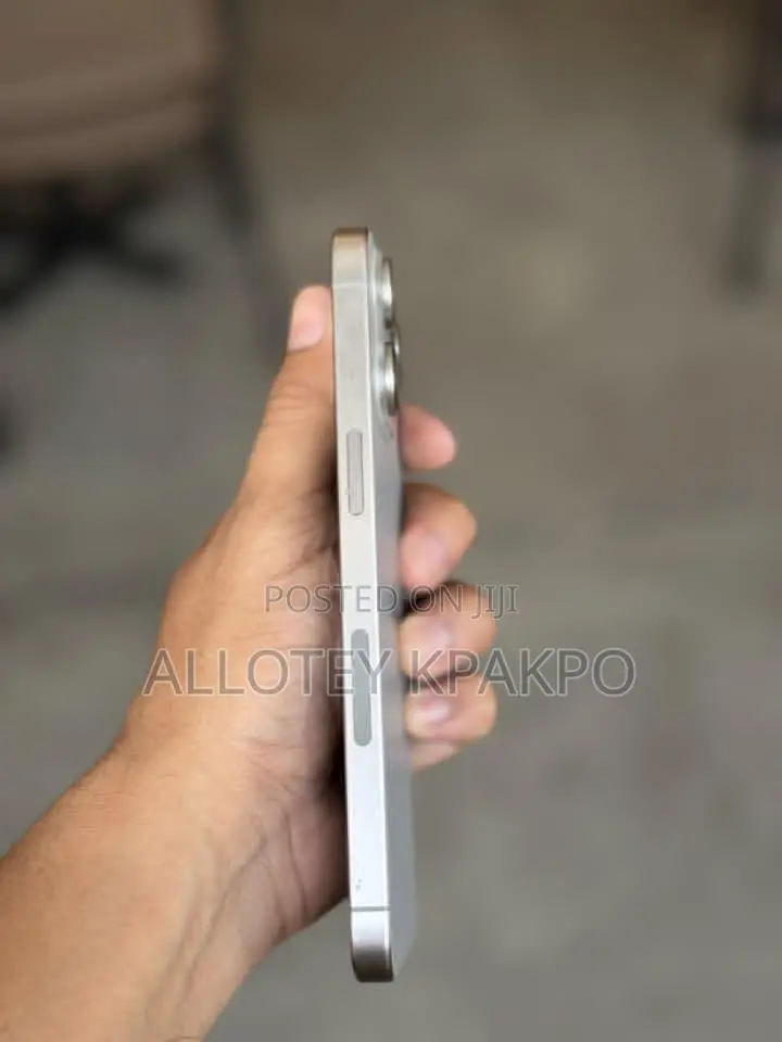 Apple iPhone 15 Pro Max 256 GB Silver