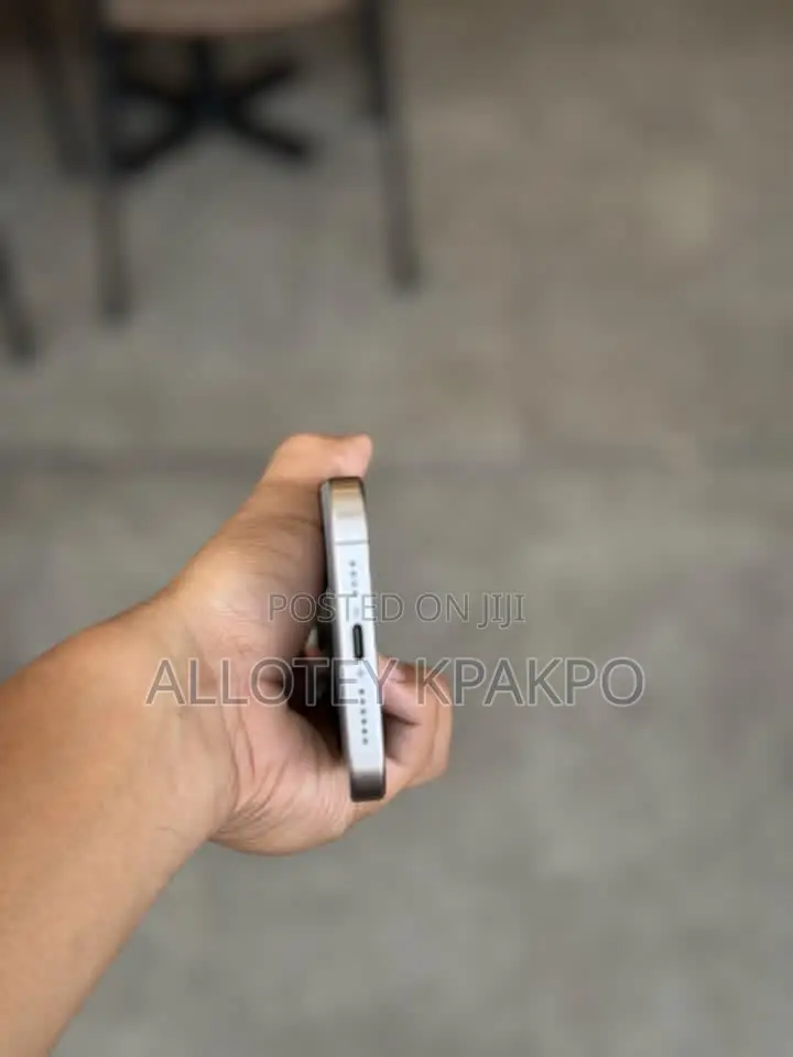 Apple iPhone 15 Pro Max 256 GB Silver