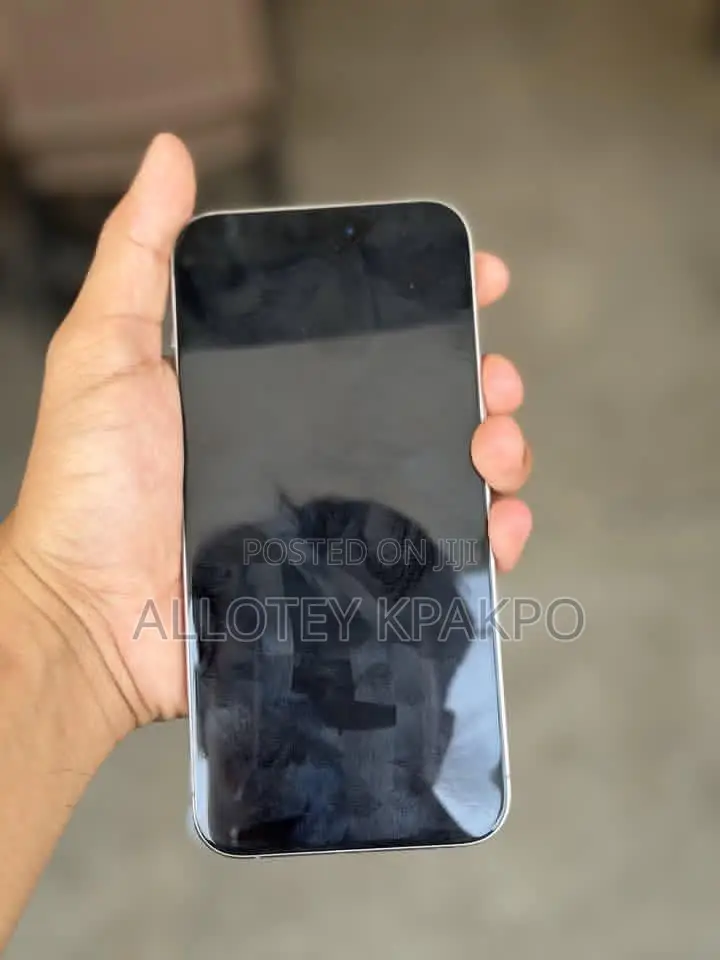 Apple iPhone 15 Pro Max 256 GB Silver