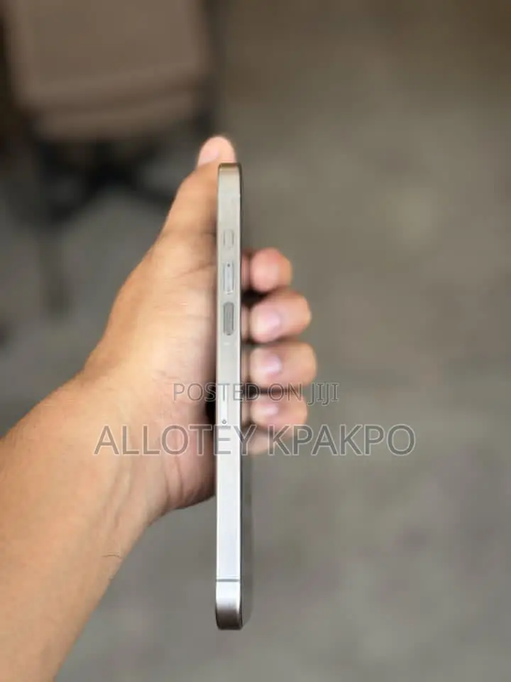 Apple iPhone 15 Pro Max 256 GB Silver