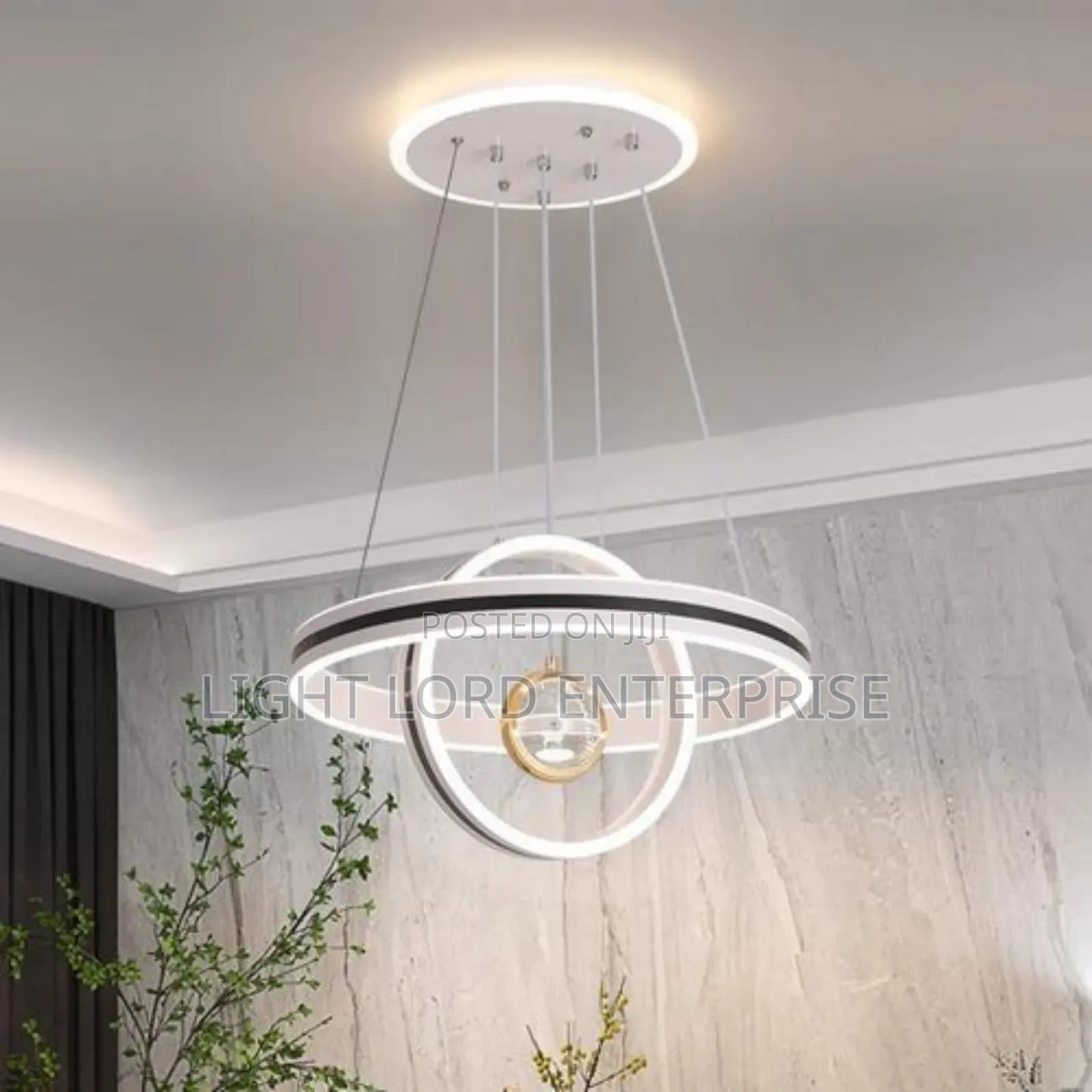 Office /Hotel/Home Luxurious Pendant Light
