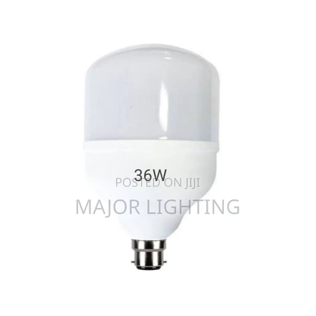 Light Bulbs