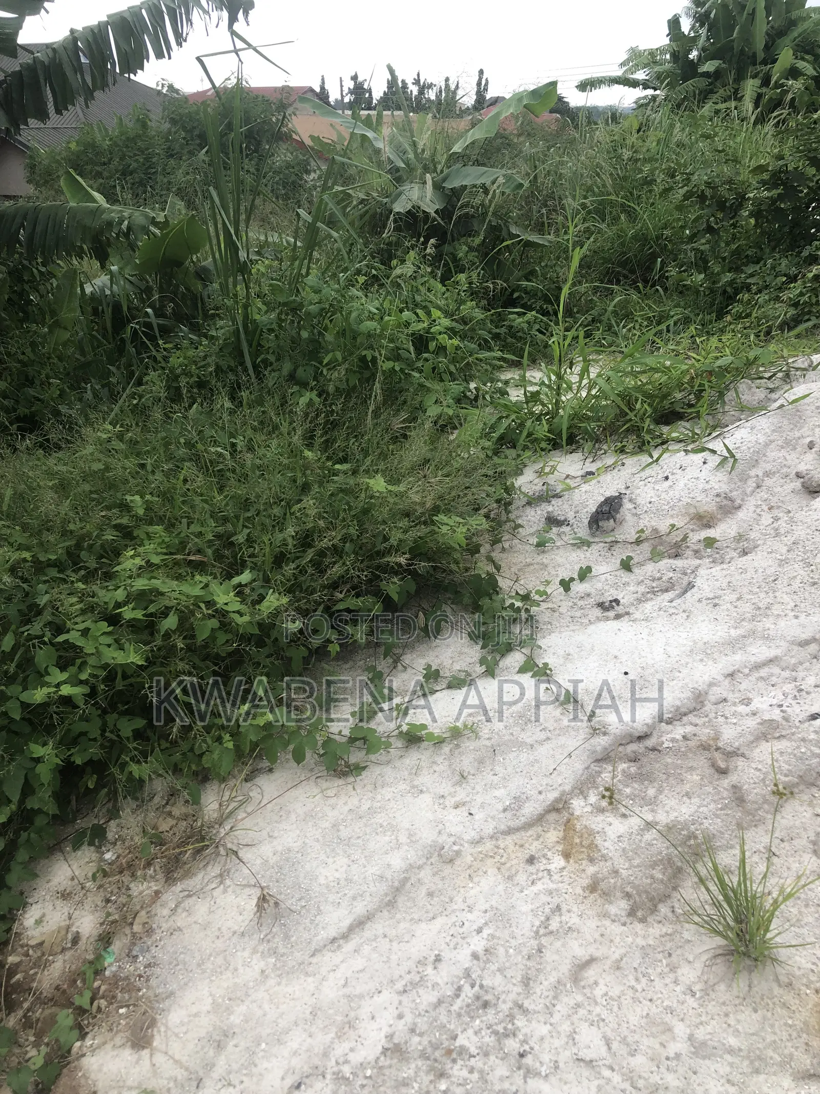 Plot of Land Is on Sales at Ahinsan Estate