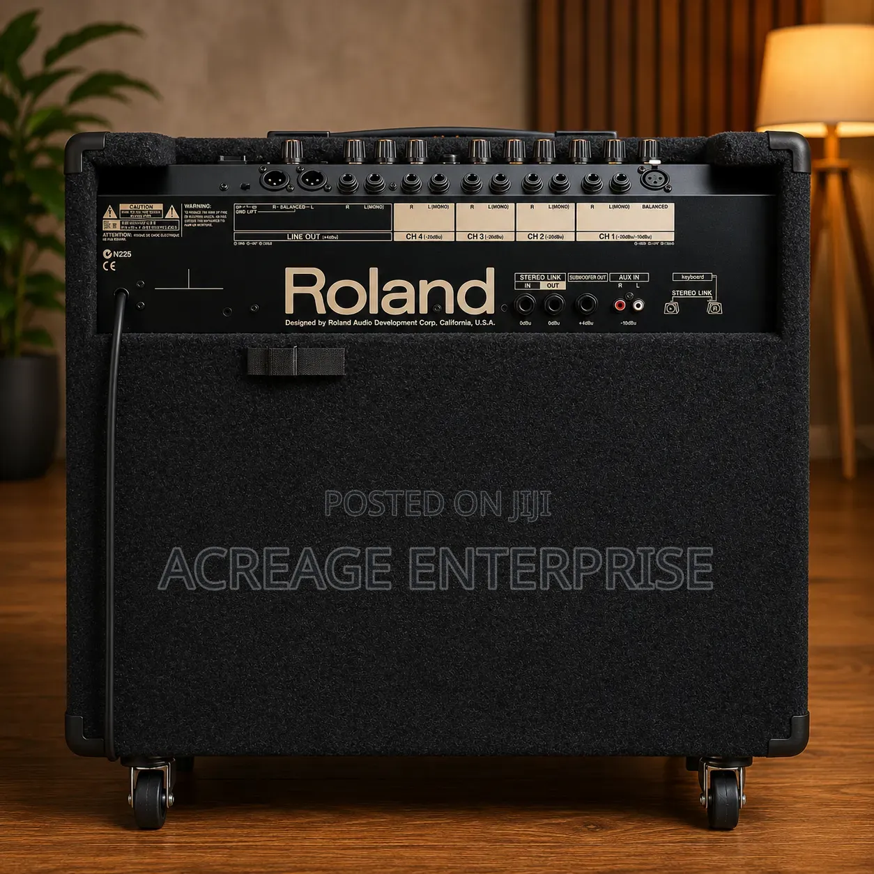 Roland Kc550 Combo