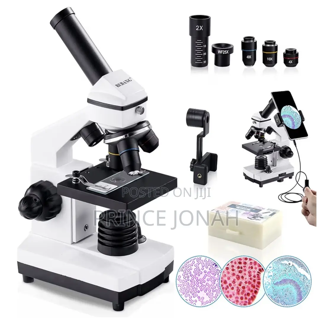 Bebang 100x-2000x Microscope for Kids, Adults Professional Biological