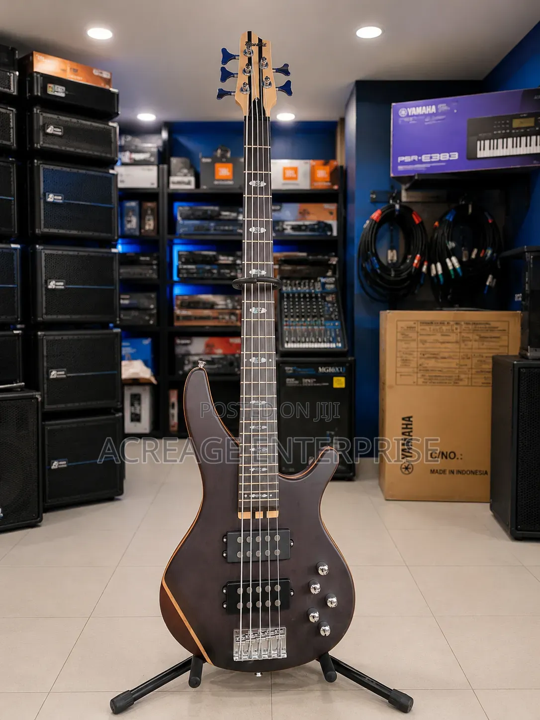 Ibanez Bass Guitar