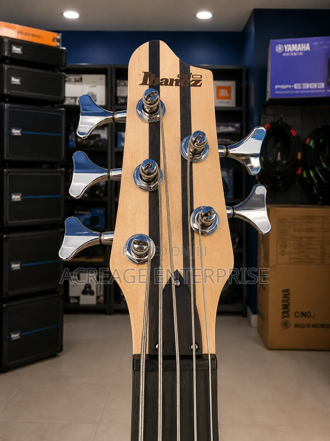 Ibanez Bass Guitar