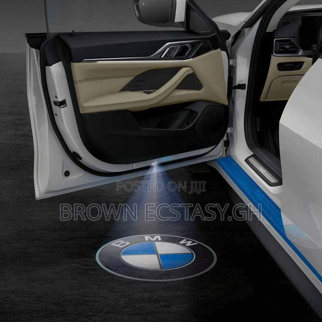 BMW Door Welcone Light (Two Piece)