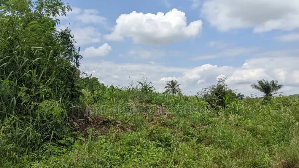 1 and Half Acres of Land for Sale at Madina Zongo Junction