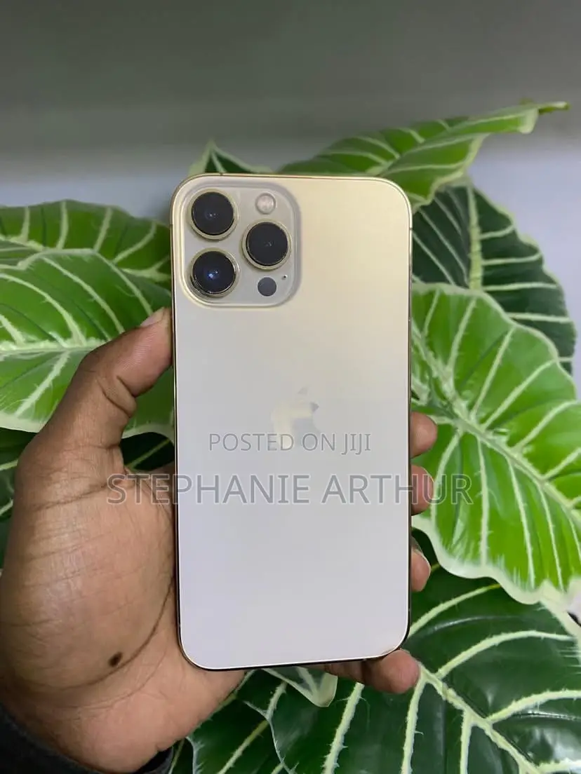 Apple iPhone 13 Pro Max 256 GB Gold