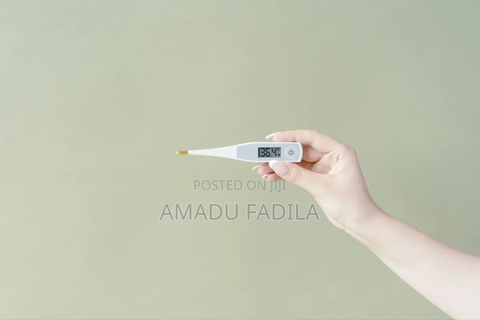 Electronic Thermometer
