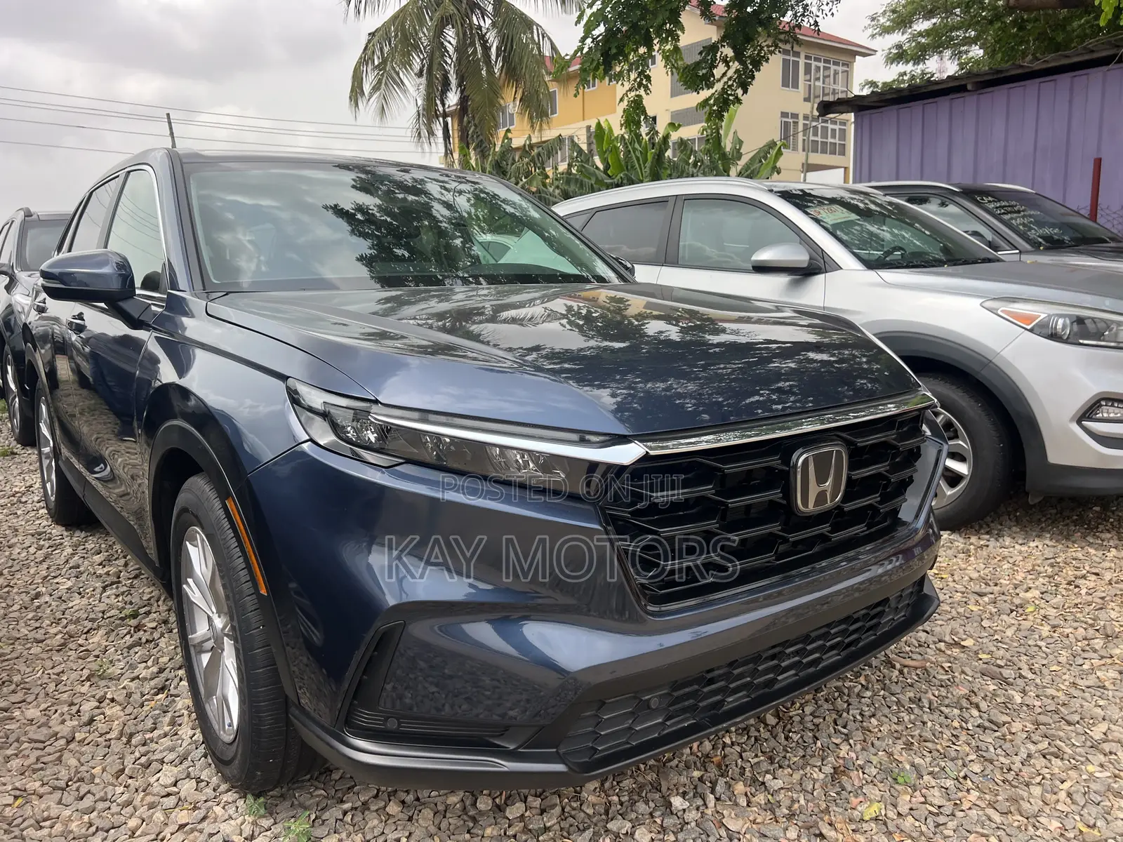 Honda CR-V EX AWD 2024 Blue