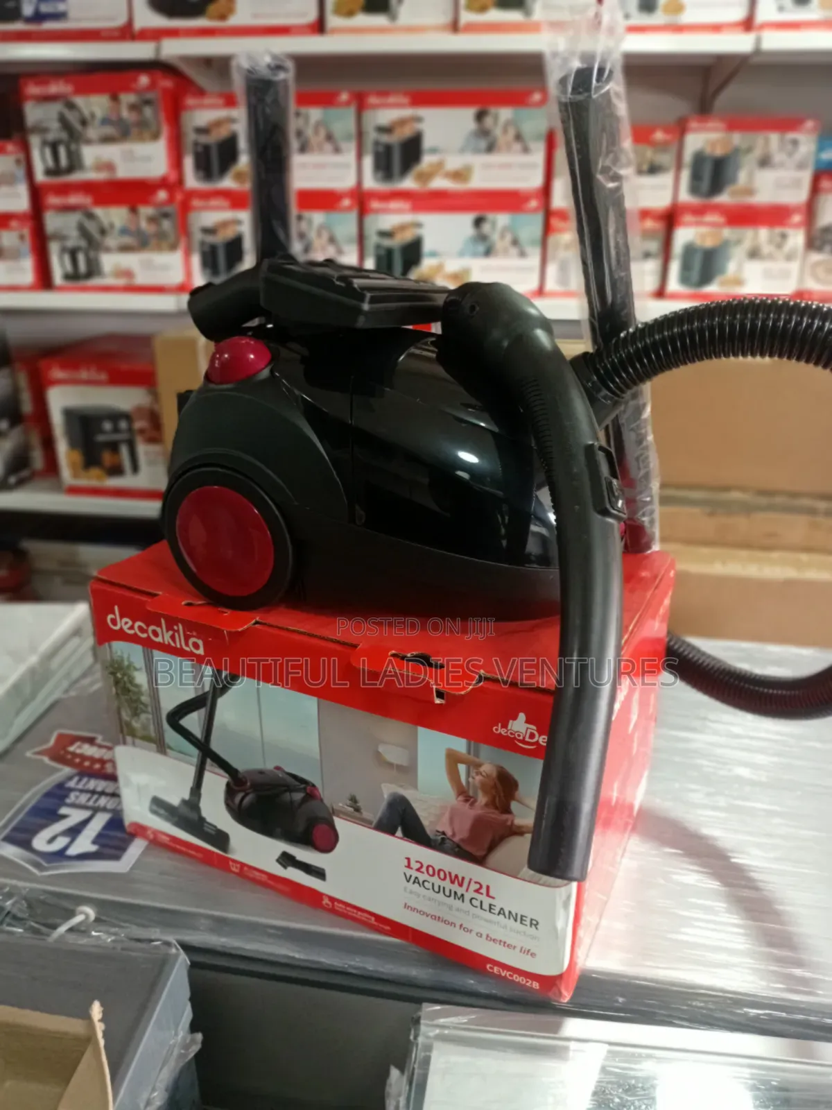 Professional Cleaning Performance at Home