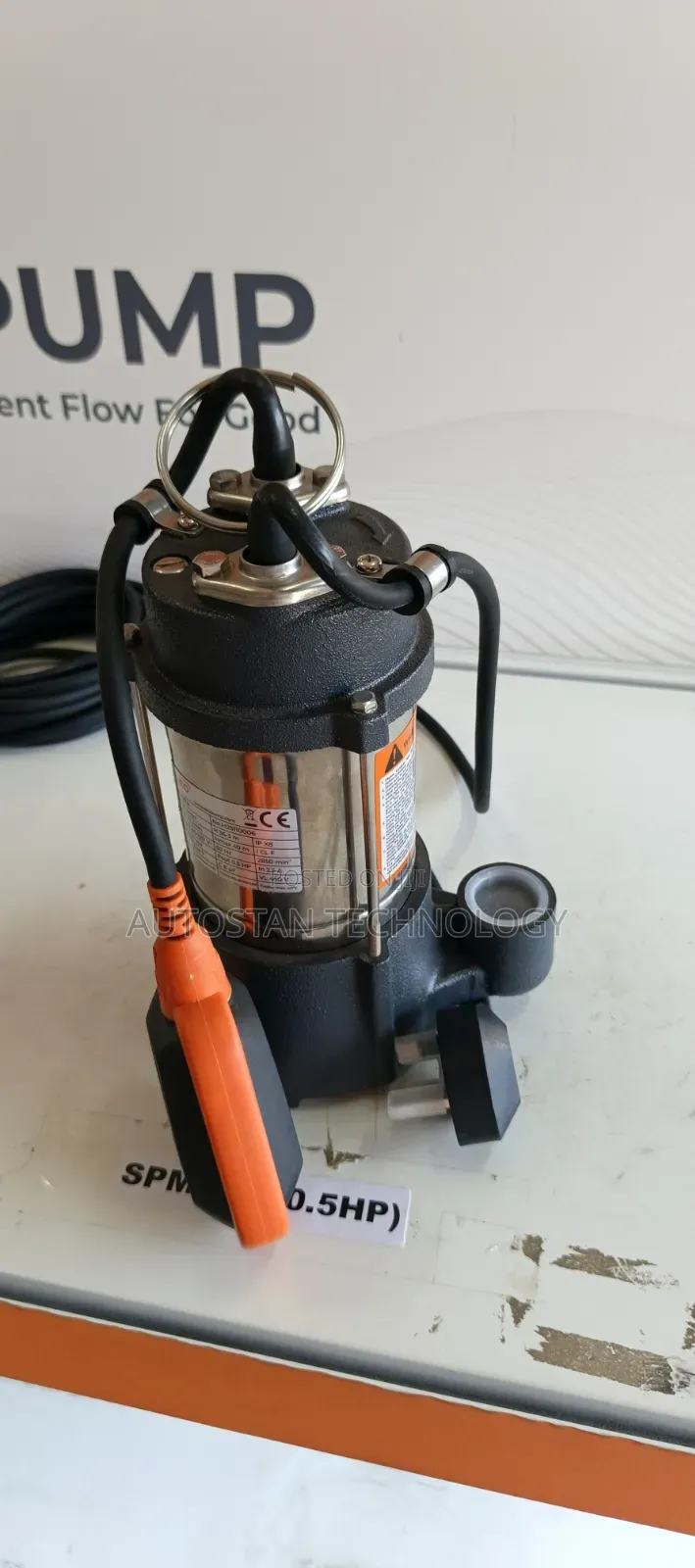 1.3hp Leo Aks-1000sw Submersible Stainless Steel Pump