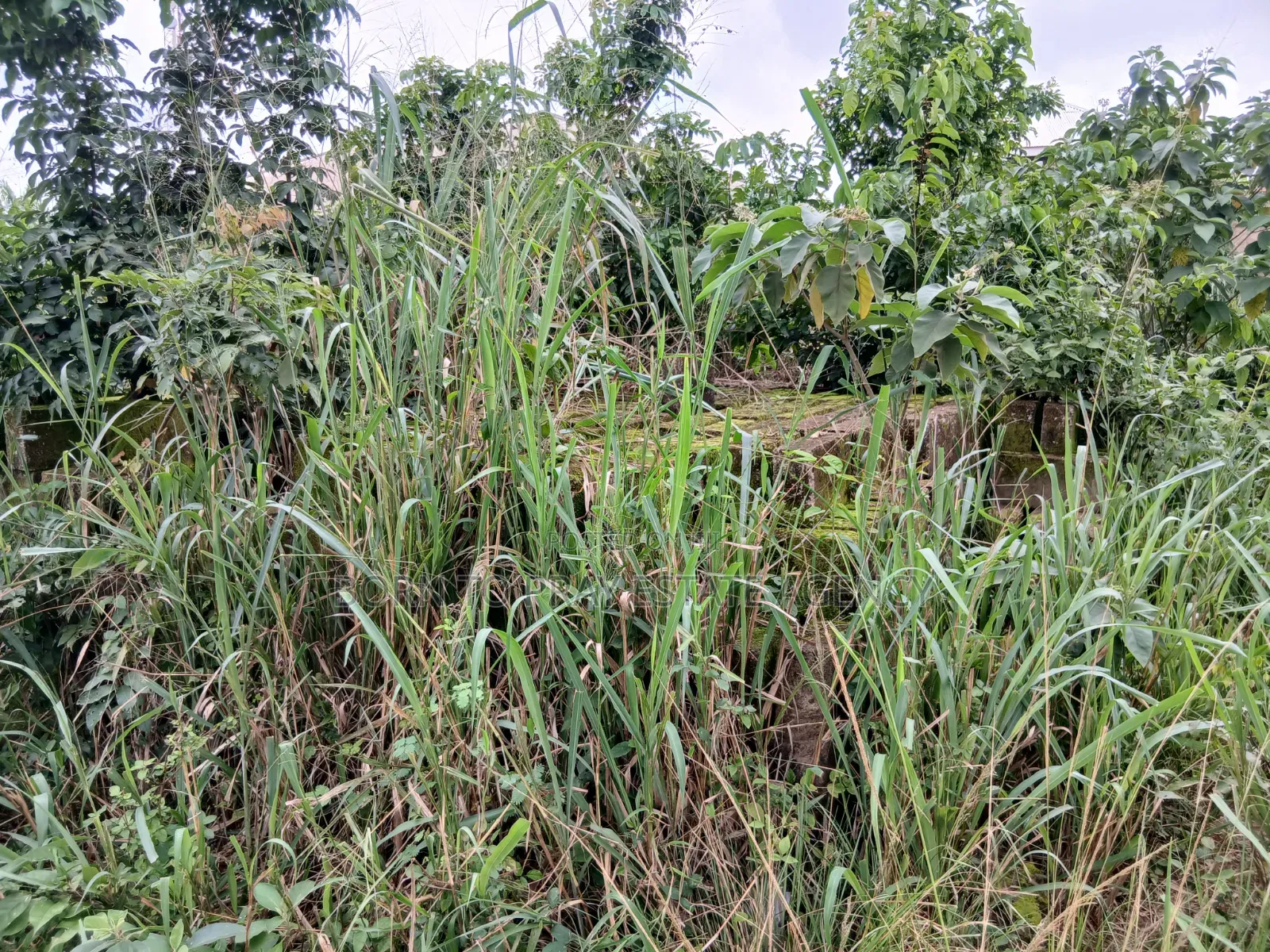 Full Plot of Land for Sale