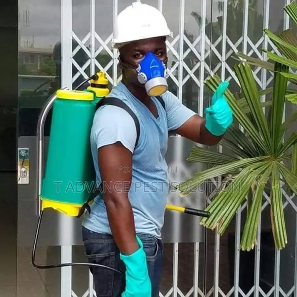 Fumigation Service