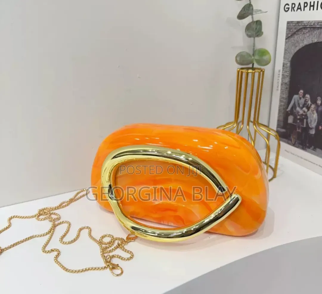 Zara Clutch / Zara Purse
