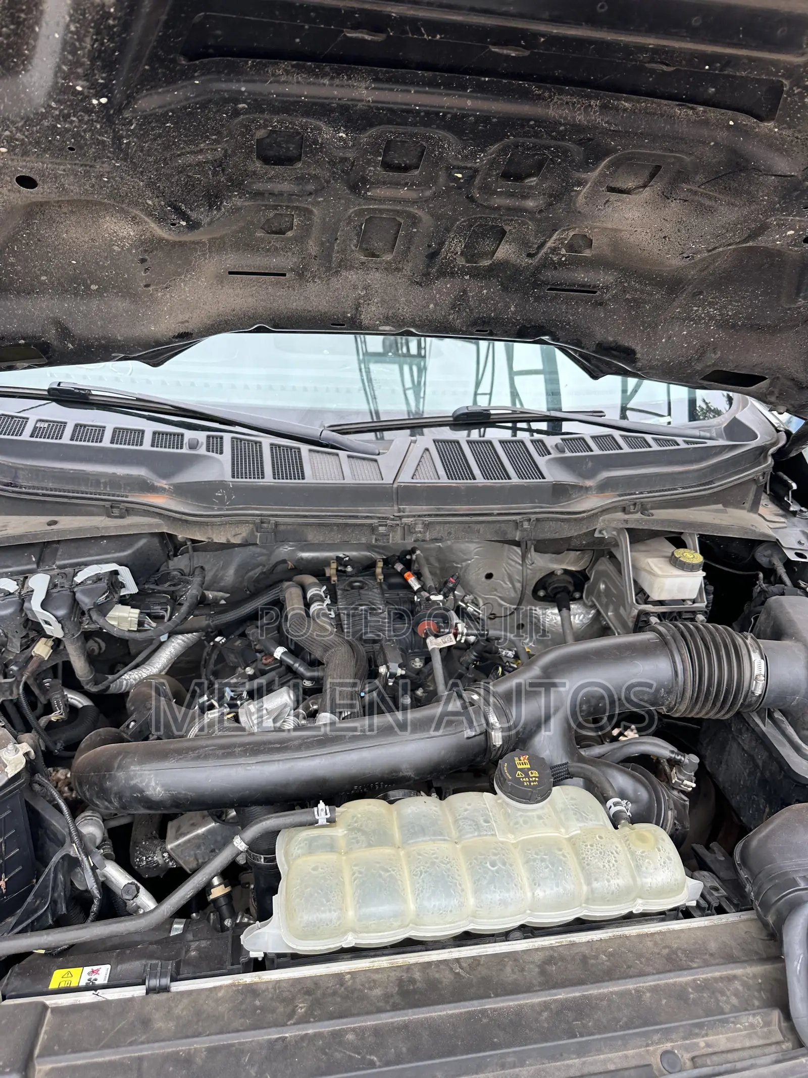 Ford F-150 XL 2023 Black
