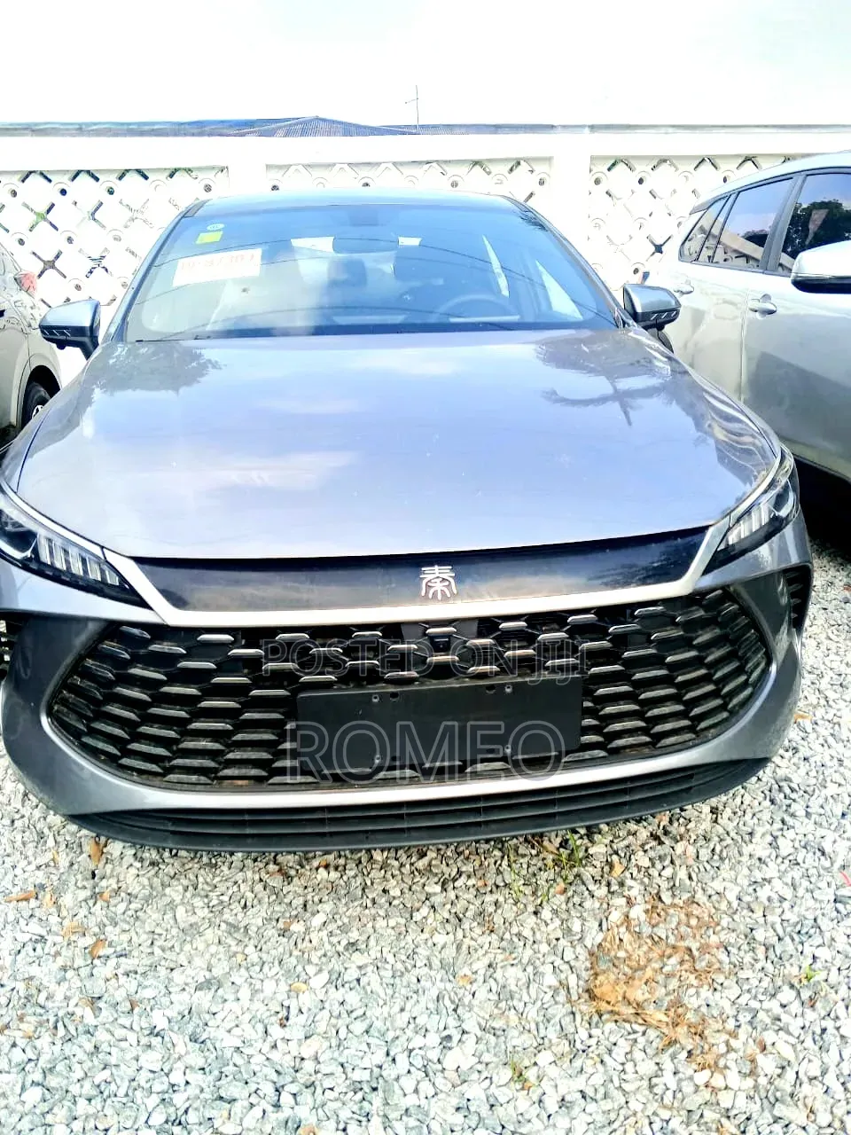 BYD Yuan Plus 2025 Gray
