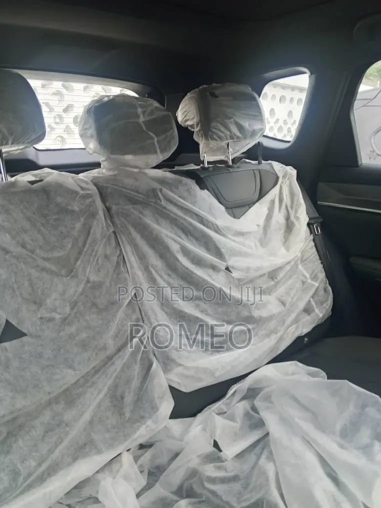 BYD Yuan Plus 2025 Gray