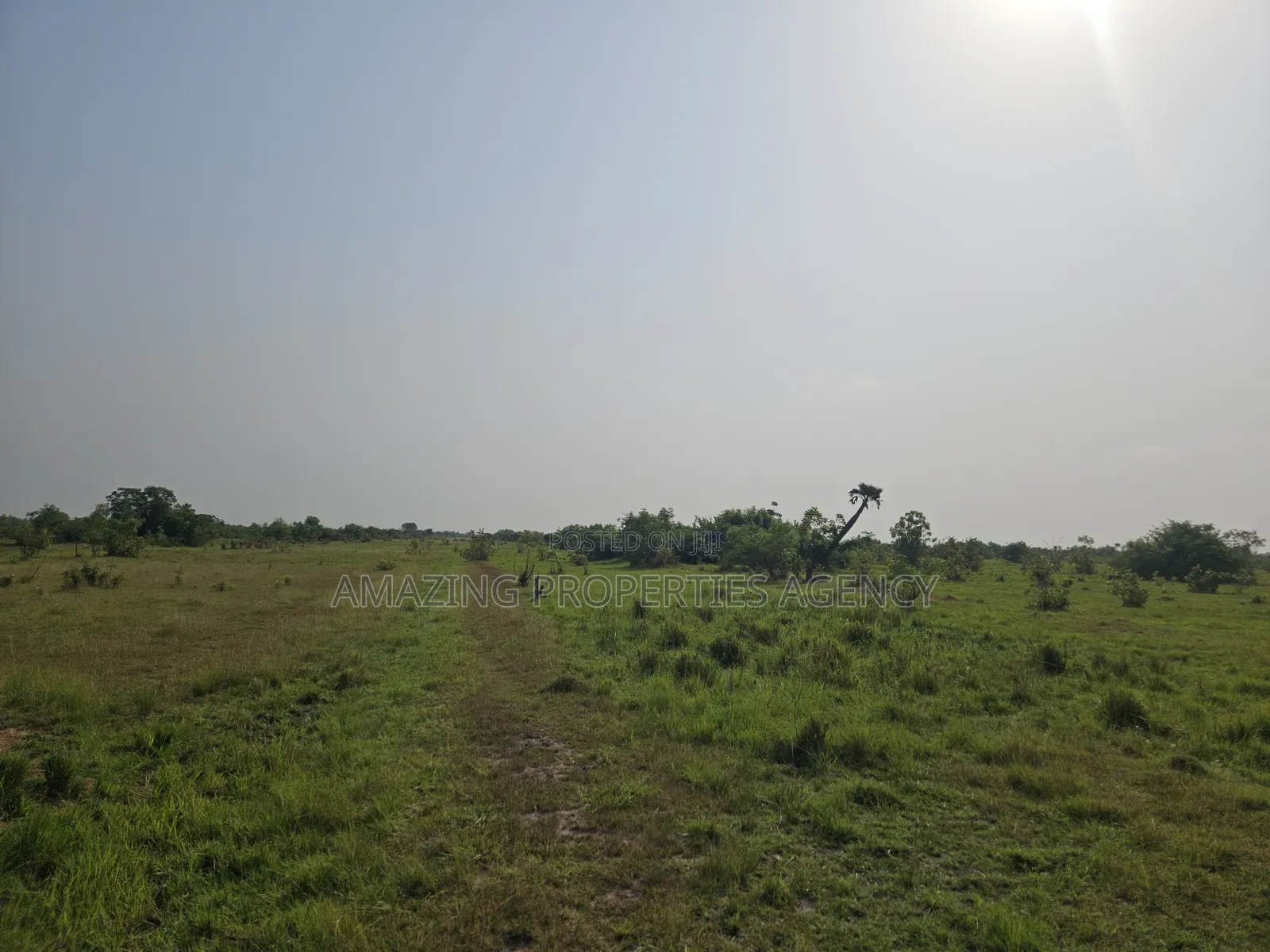 19 Acres of Land Available for Sale at Tema Industrial Area