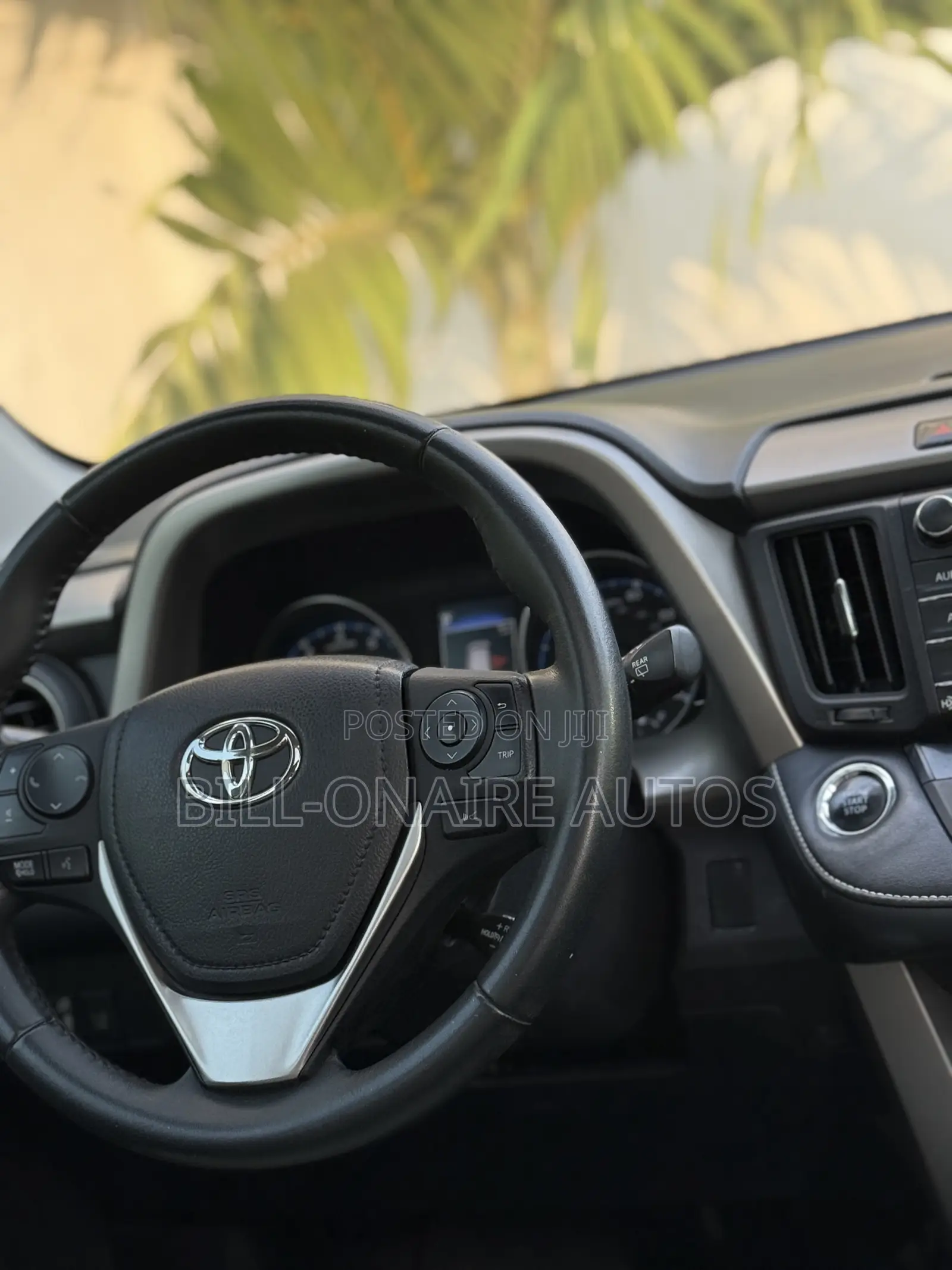 Toyota RAV4 XLE 4dr SUV (2.5L 4cyl 6A) 2018 Green